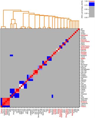 Brevundimonas and Serratia as host systems for assessing associated environmental viromes and phage diversity by complementary approaches